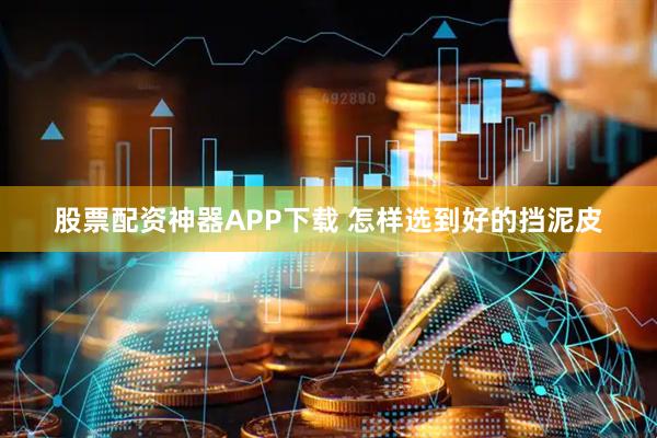 股票配资神器APP下载 怎样选到好的挡泥皮