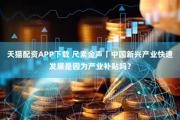 天猫配资APP下载 尺素金声丨中国新兴产业快速发展是因为产业补贴吗？