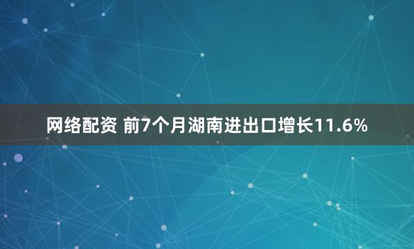 网络配资 前7个月湖南进出口增长11.6%
